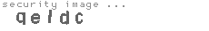 security code