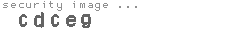 security code