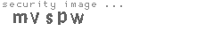 security code