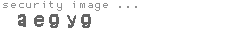 security code